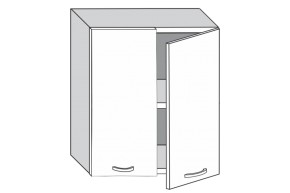 1.60.2 Луиза Шкаф настенный с двумя дверцами h 720 в Заречном - zarechnyj.mebel-e96.ru | фото