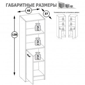 Стеллаж две ниши и дверка Альфа 09.135 солнечный свет в Заречном - zarechnyj.mebel-e96.ru