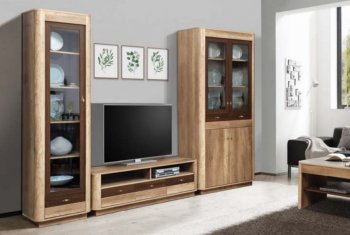 Стенка Фантазия модульная (Олмеко) в Заречном - zarechnyj.mebel-e96.ru