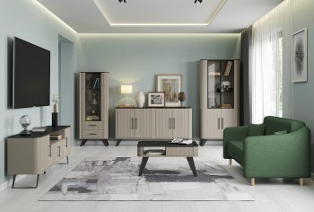 Стенка Фиделия, модульная (Олмеко) в Заречном - zarechnyj.mebel-e96.ru