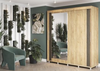 Шкаф-купе 2000 мм Форест крафт золотой(Стиль) в Заречном - zarechnyj.mebel-e96.ru