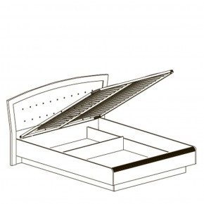 Кровать двойная 1600 с ПМ Афины 368 (Яна) в Заречном - zarechnyj.mebel-e96.ru