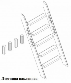 Кровать Сонечка 2-х ярусная (модульная) в Заречном - zarechnyj.mebel-e96.ru