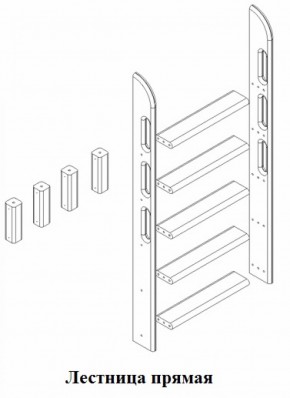 Кровать Сонечка 2-х ярусная (модульная) в Заречном - zarechnyj.mebel-e96.ru