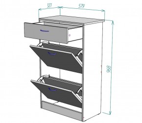 Обувница W21 (ДМ) в Заречном - zarechnyj.mebel-e96.ru