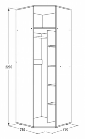 Шкаф 1-но дверный угловой Ольга-14 (760*760) в Заречном - zarechnyj.mebel-e96.ru