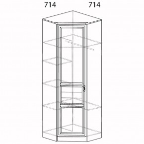 Шкаф для одежды угловой Лира 57 (Яна) в Заречном - zarechnyj.mebel-e96.ru