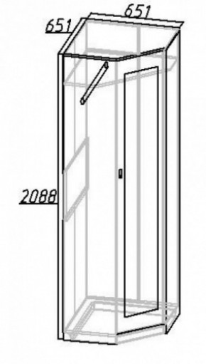 Шкаф угловой Комфорт 1 в Заречном - zarechnyj.mebel-e96.ru