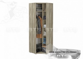 Шкаф угловой ШК-21 Наоми (БТС) в Заречном - zarechnyj.mebel-e96.ru