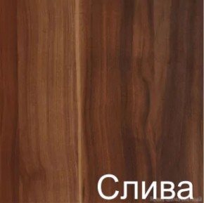Стол-книжка (1-65) (ГК) в Заречном - zarechnyj.mebel-e96.ru