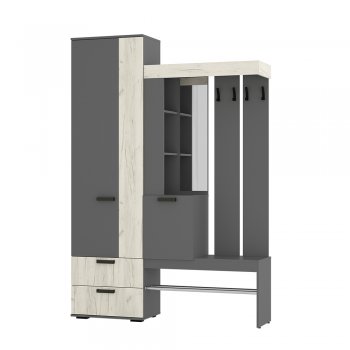 Прихожая Трамп графит/крафт белый (БТС) в Заречном - zarechnyj.mebel-e96.ru